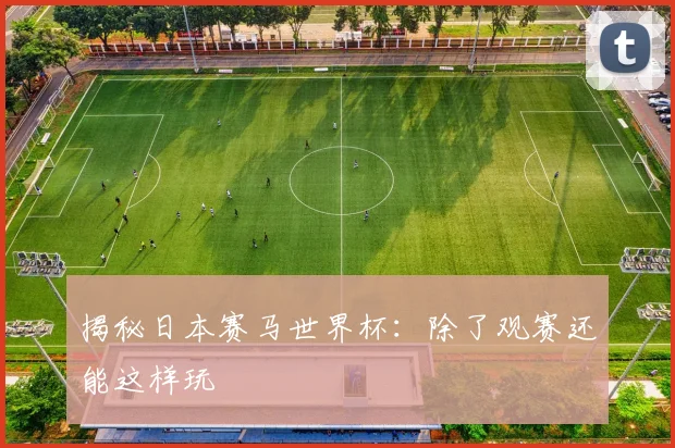 揭秘日本赛马世界杯:除了观赛还能这样玩