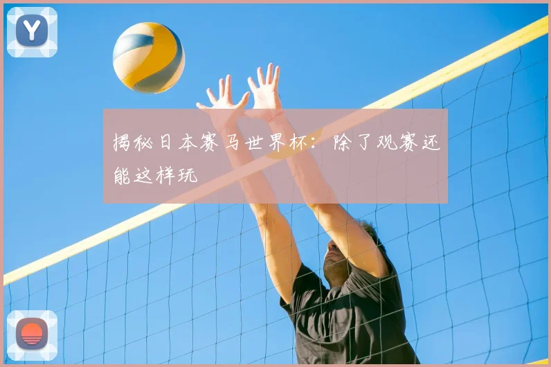 揭秘日本赛马世界杯:除了观赛还能这样玩