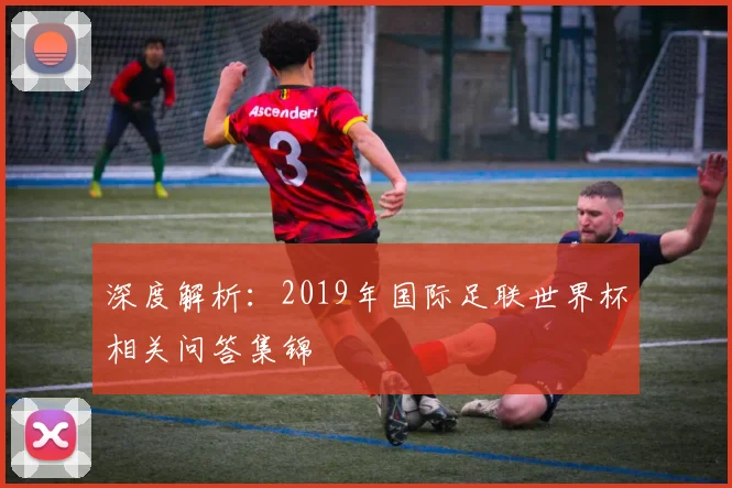 深度解析:2019年国际足联世界杯相关问答集锦