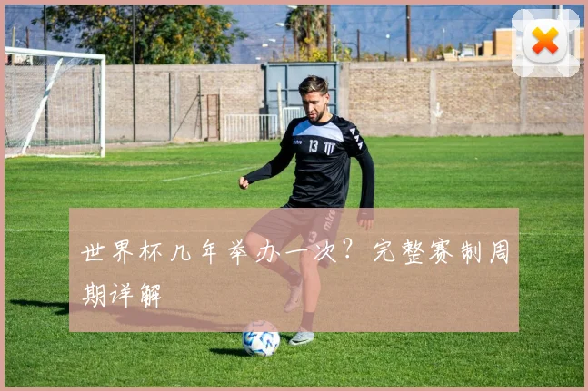 世界杯几年举办一次?完整赛制周期详解